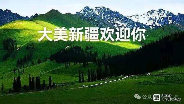 新疆地區基本面觀察一帶一路上的明珠如何突顯優勢